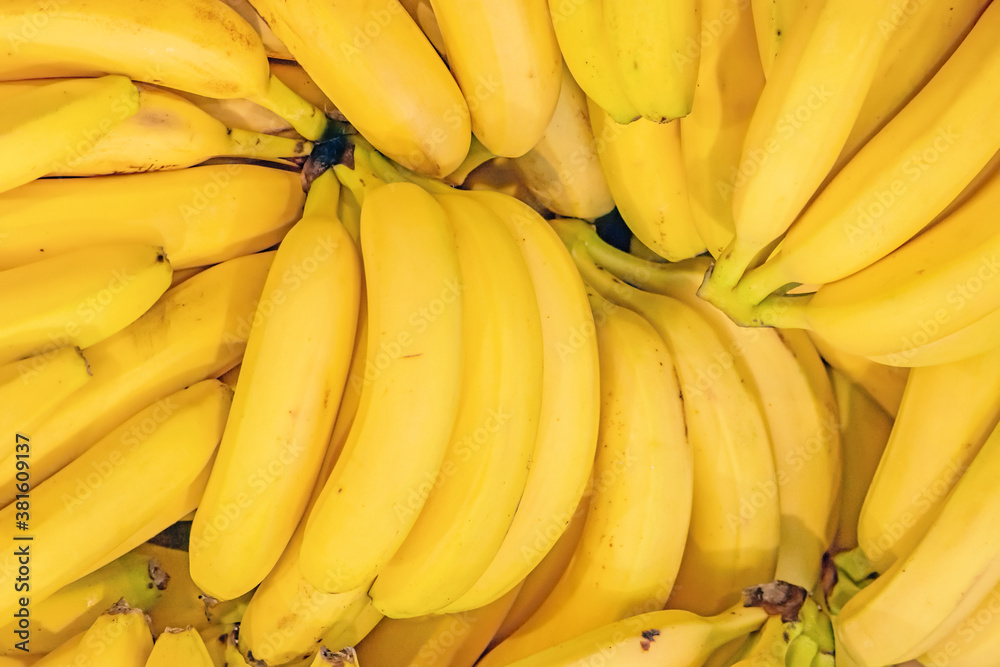 yellow banana fruit background top down view. Ripe bunch of bananas. Fresh vegan food. Healthy refreshment meal. Exotic tropical things.  Whole bananas on shelf in grocery store