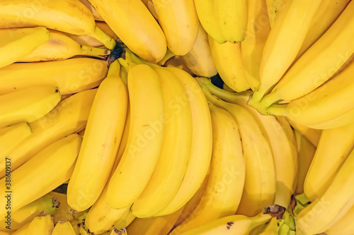 yellow banana fruit background top down view. Ripe bunch of bananas. Fresh vegan food. Healthy refreshment meal. Exotic tropical things. Whole bananas on shelf in grocery store