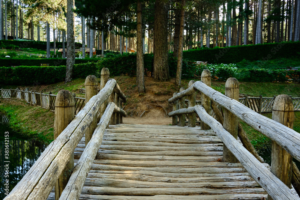 Un particolare del ponte di legno nel Parco Nazionale della Sila Piccola, Calabria, Italia Un particolare del ponte di legno nel Parco Nazionale della Sila Piccola, Calabria, Italia