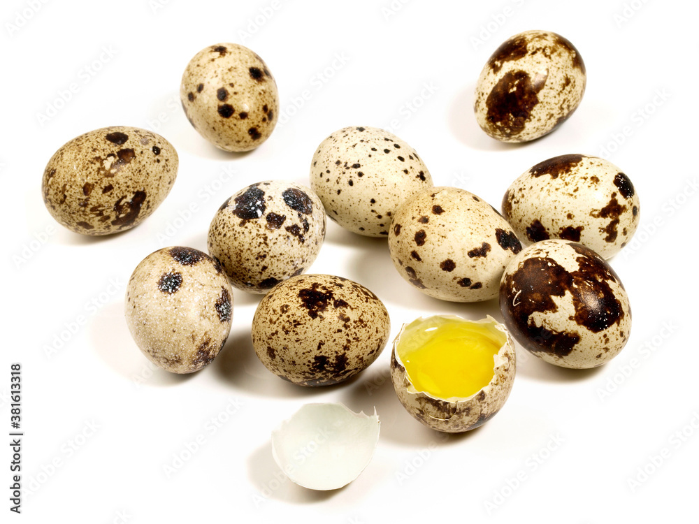 Raw Quail Eggs on white Background - Isolated Raw Quail Eggs on white Background - Isolated