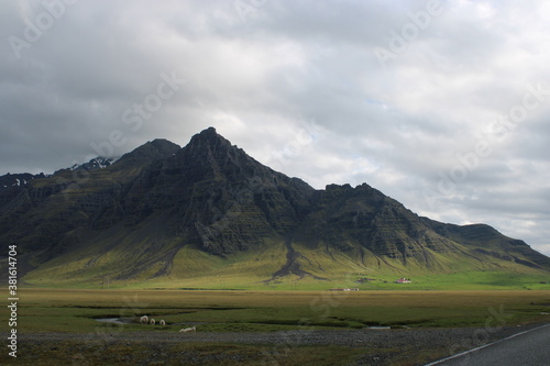 Wallpaper Mural Landscape around Egilsstadir and Lögurinn in East Iceland Torontodigital.ca