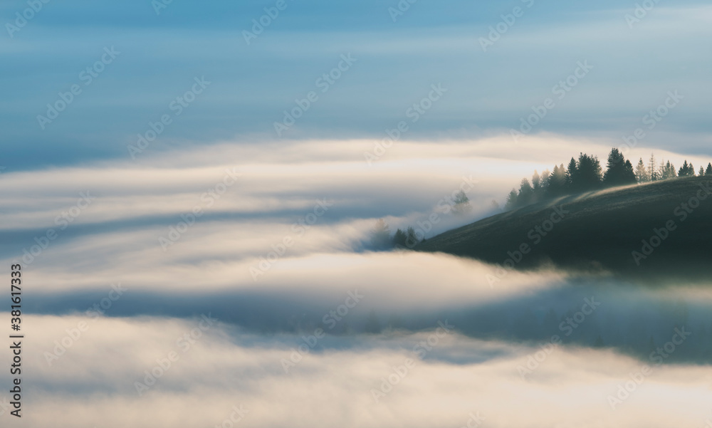 Foggy mountain landscape, Hill with fir trees in fog clouds