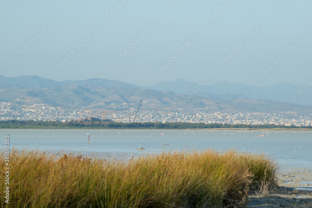 view from the sea