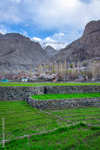 vertical landscape photography of spring season in ghanche , gilgit baltistan, Pakistan  photo
