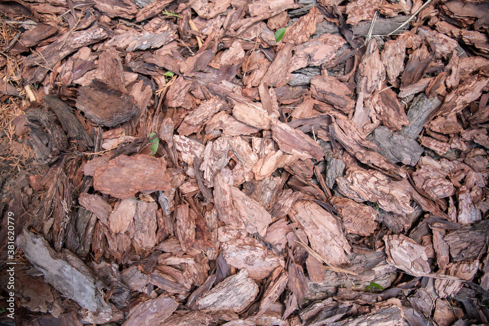 decorative bark. brown chips bark particles for ornamental garden decorative bark. brown chips bark particles for ornamental garden