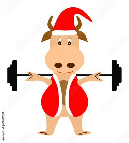 Vector image of a bull in a santa claus costume. The bull plays sports and holds a barbell on his shoulders
