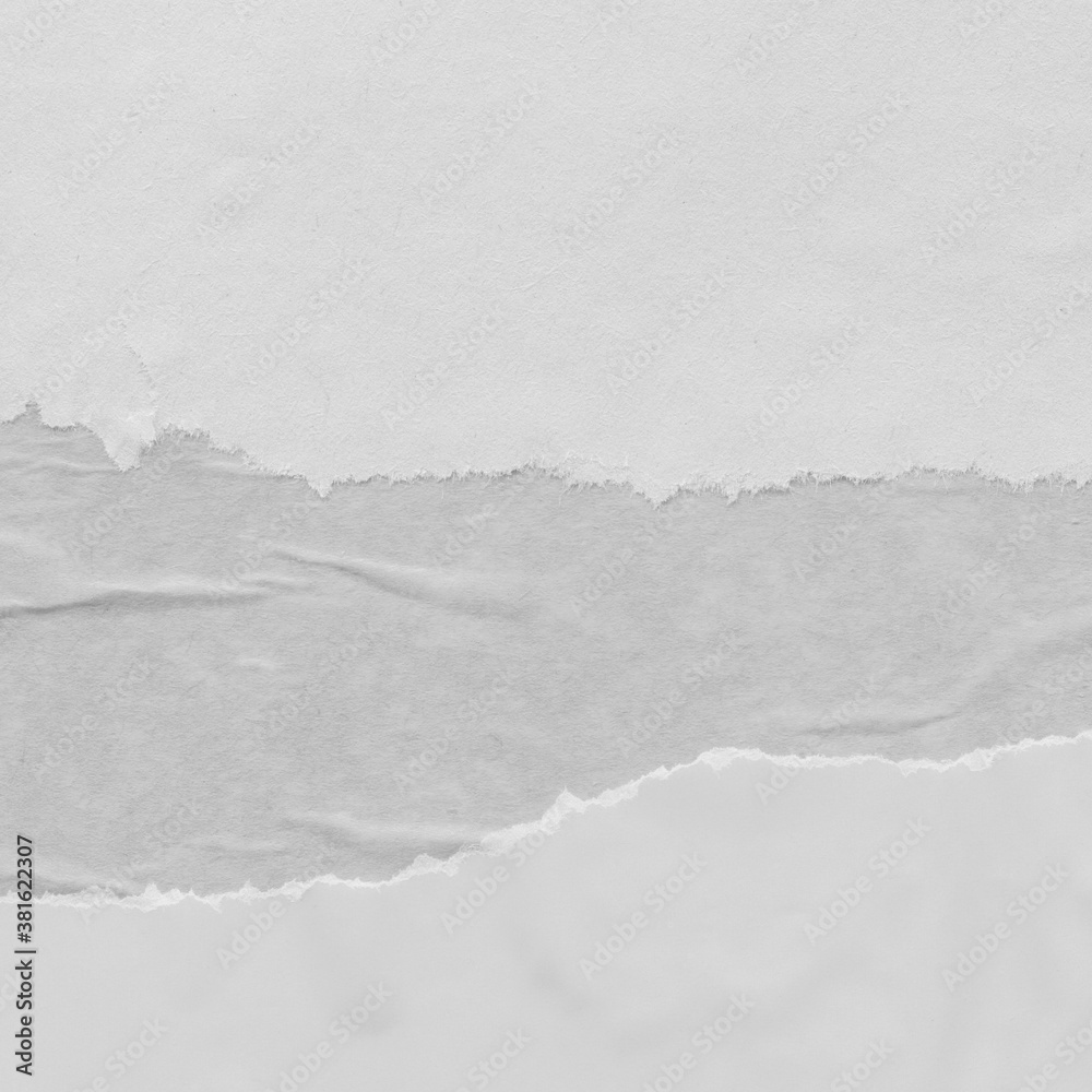 White torn paper collage close-up. Texture made from various paper and cardboard parts. Damaged old paper background. Vintage blank wallpaper. Material design backdrop. White torn paper collage close-up. Texture made from various paper and cardboard parts. Damaged old paper background. Vintage blank wallpaper. Material design backdrop.
