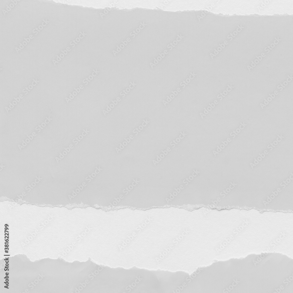 White torn paper collage close-up. Texture made from various paper and cardboard parts. Damaged old paper background. Vintage blank wallpaper. Material design backdrop. White torn paper collage close-up. Texture made from various paper and cardboard parts. Damaged old paper background. Vintage blank wallpaper. Material design backdrop.