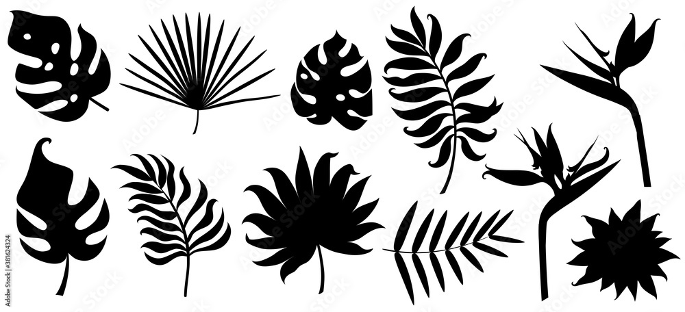 Silhouettes of different tropical leaves isolated on white. Silhouettes of different tropical leaves isolated on white.