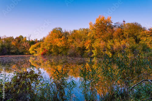 Colorful autumnal photo of a small lake  autumnal small lake with colorful trees in the background  reflections
