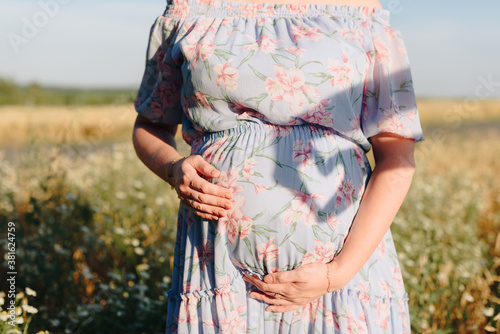 Pregnant girl in nature in the field