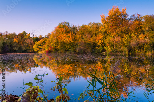 Colorful autumnal photo of a small lake, autumnal small lake with colorful trees in the background, reflections