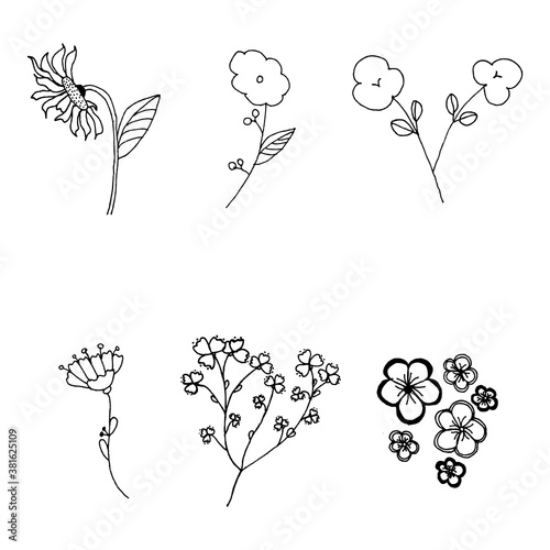 Flower set hand drawn doodle style