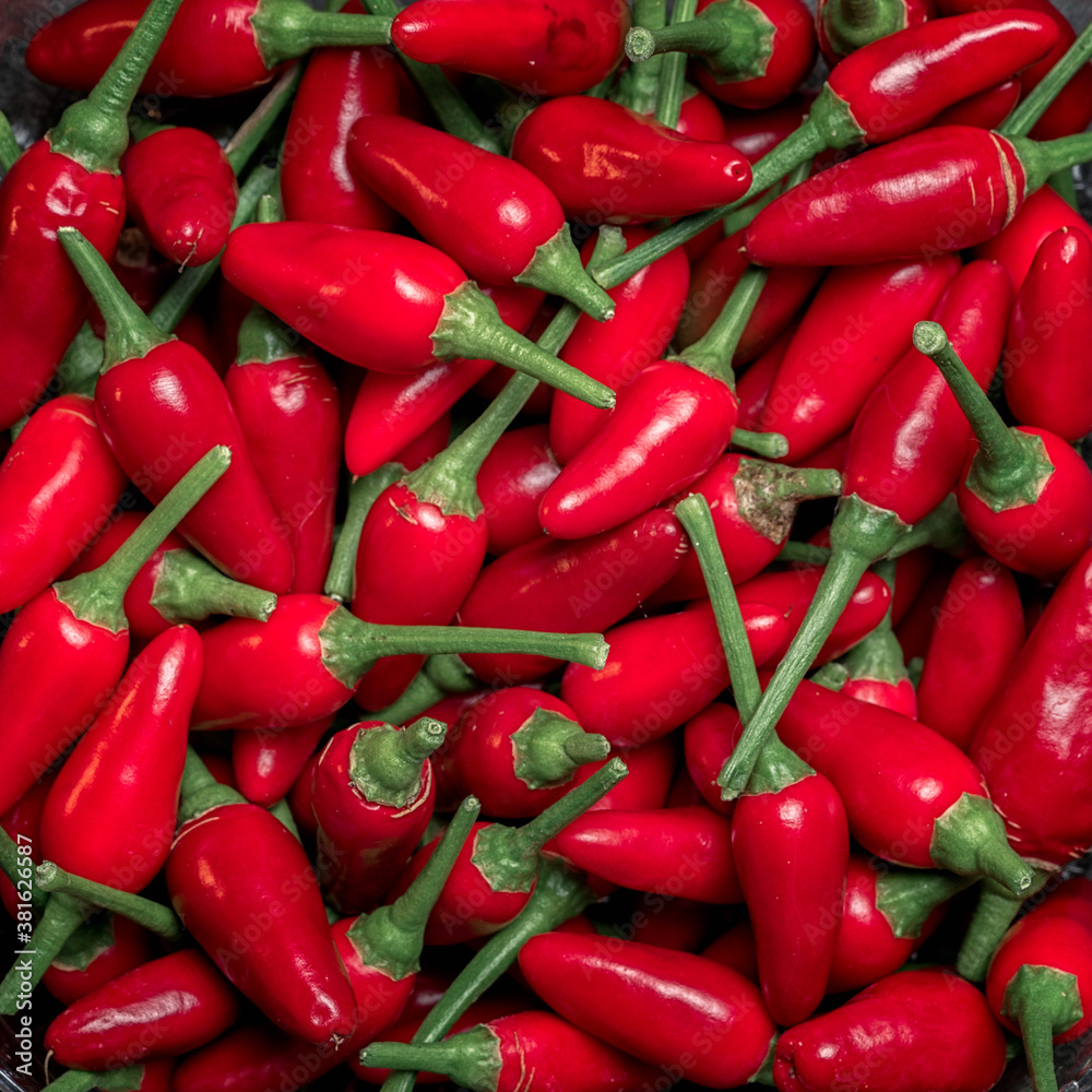 Red hot chilli peppers pattern texture background, square composition. Red hot chilli peppers pattern texture background, square composition.