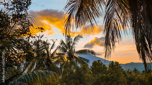 palm trees at sunrise  © Madesunesa