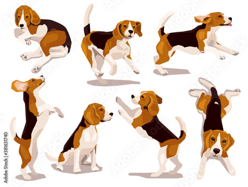 Cute cool beagle puppy set. Collection of flat plaing dog in various poses and actions. Vector illustration of domestic pet behavior 