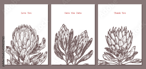 Minimalistic trendy cards in monochrome hand drawn style with king and queen protea with empty place for message. Sketch design for poster or print with vector botanical illustration for wedding