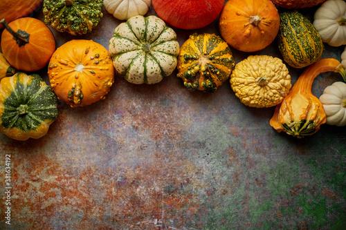 Different kinds colorful mini pumpkins placed on rusty background