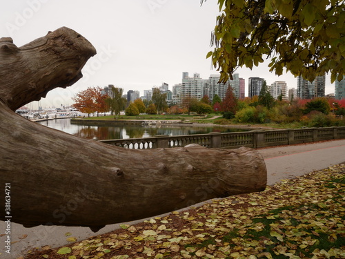 L'automne à Vancouver