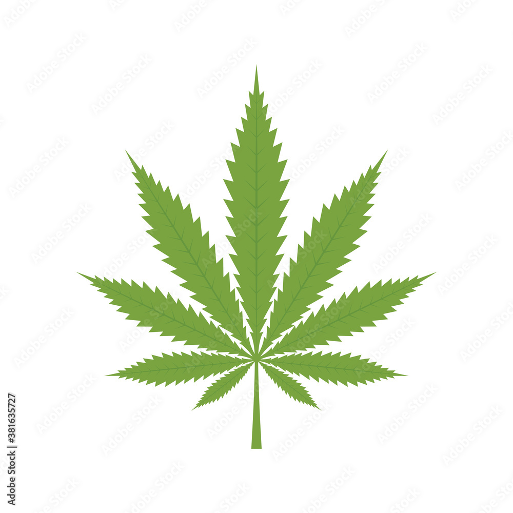 Cannabis leaf, Marijuana leaf isolated on white background Cannabis leaf, Marijuana leaf isolated on white background
