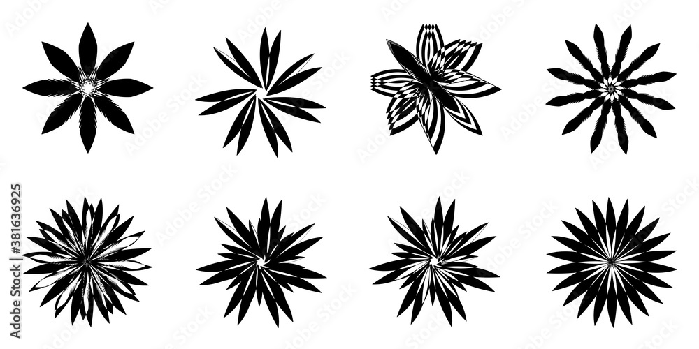 Creative flowers plants petal art graphic design icons decoration element lack color collection, abstract backgrounds texture wallpaper pattern seamless vector illustration Creative flowers plants petal art graphic design icons decoration element lack color collection, abstract backgrounds texture wallpaper pattern seamless vector illustration