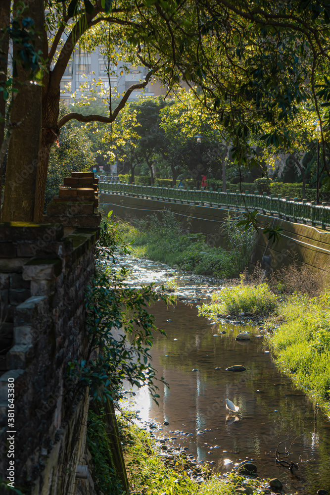 Naklejka premium Small stream by the park