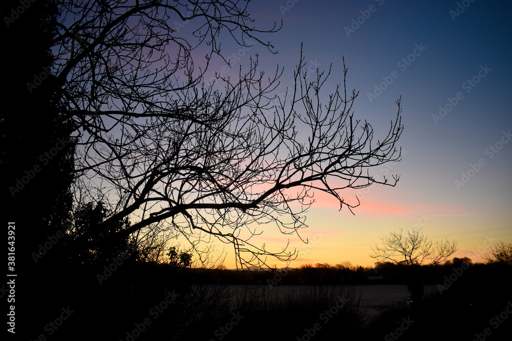 Vibrant Sunrise Sky with Tree Silhouette