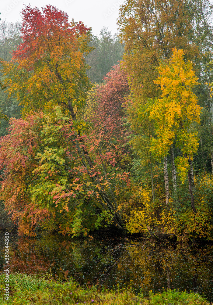 Autumn landscape in natural parkland