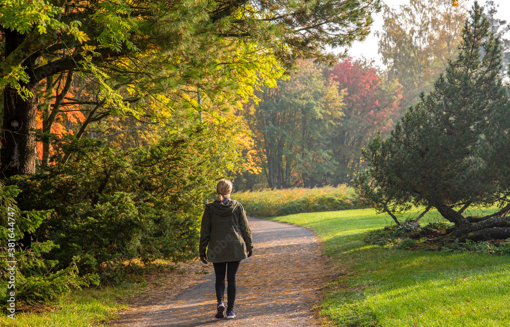 Adult woman walking away alone on path in autumn park Adult woman walking away alone on path in autumn park