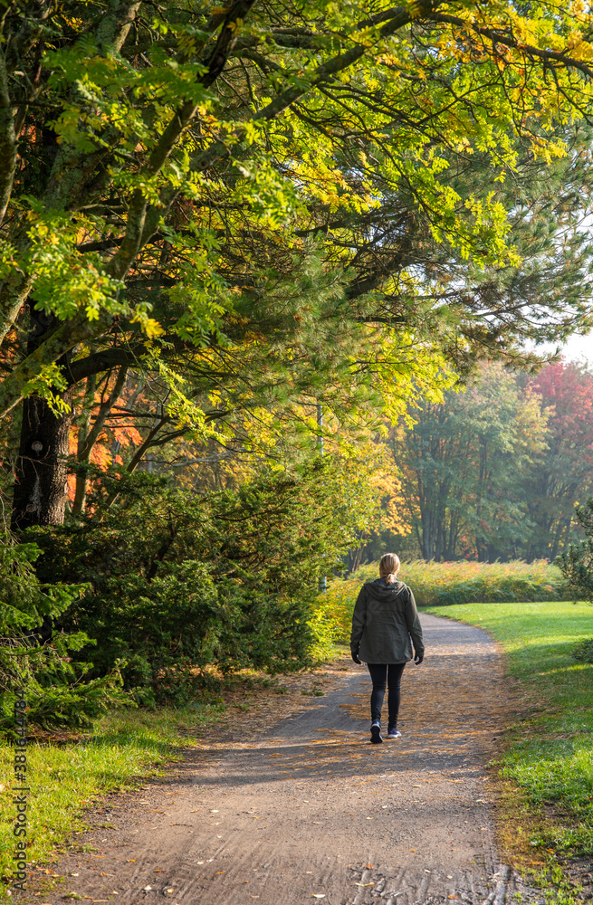 Adult woman walking away alone on path in autumn park Adult woman walking away alone on path in autumn park