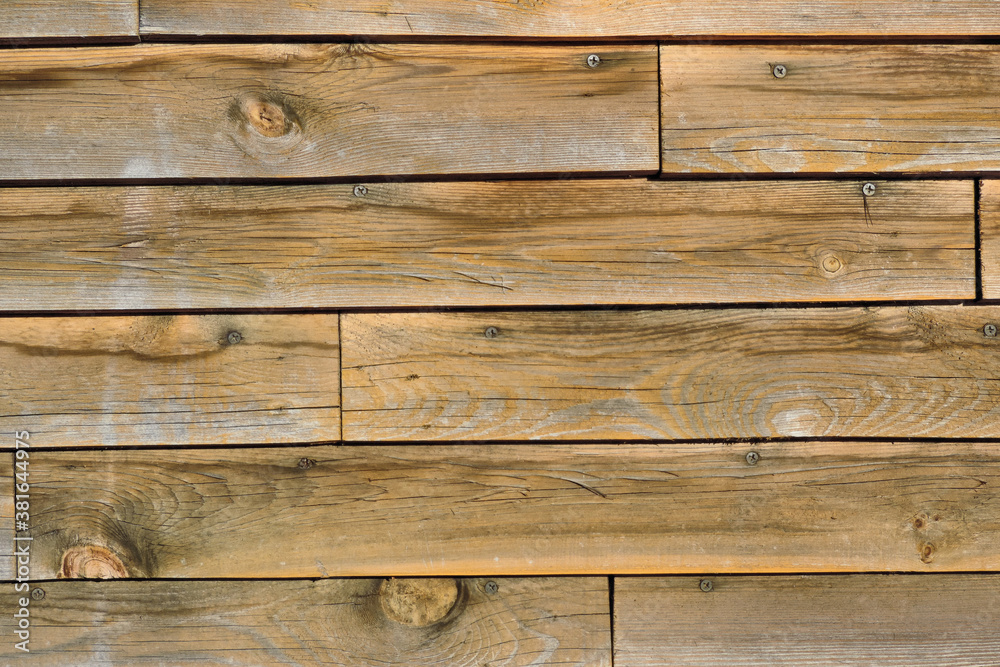 Naklejka premium Unmatched drawing of an old tree , wooden surface condition.