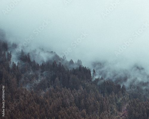 Mystischer Wald an einem Berghang in Österreich am frühen Morgen (Vorarlberg, Silvretta-Montafon)