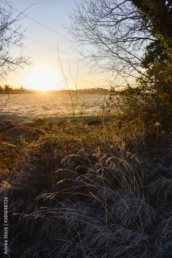 Beautiful Frosty Sunrise, Irish Landscape Beautiful Frosty Sunrise, Irish Landscape