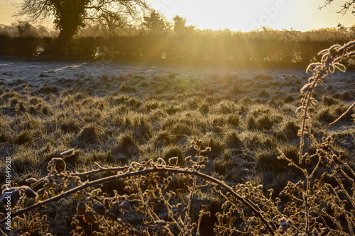 Beautiful Frosty Sunrise, Irish Landscape