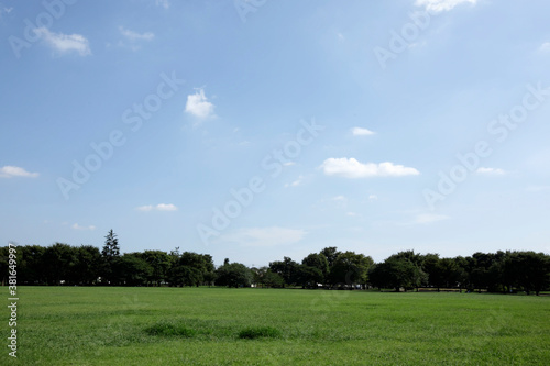 武蔵野中央公園 photo