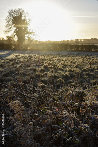 Beautiful Frosty Sunrise, Irish Landscape