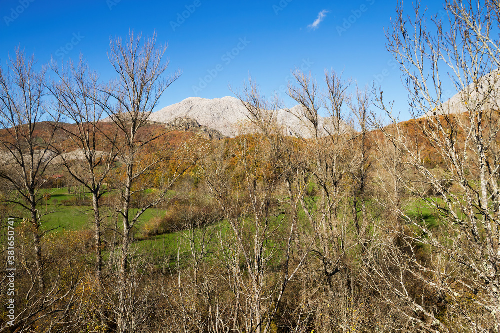 Montaña de roca caliza tras un bosque otoñal Montaña de roca caliza tras un bosque otoñal