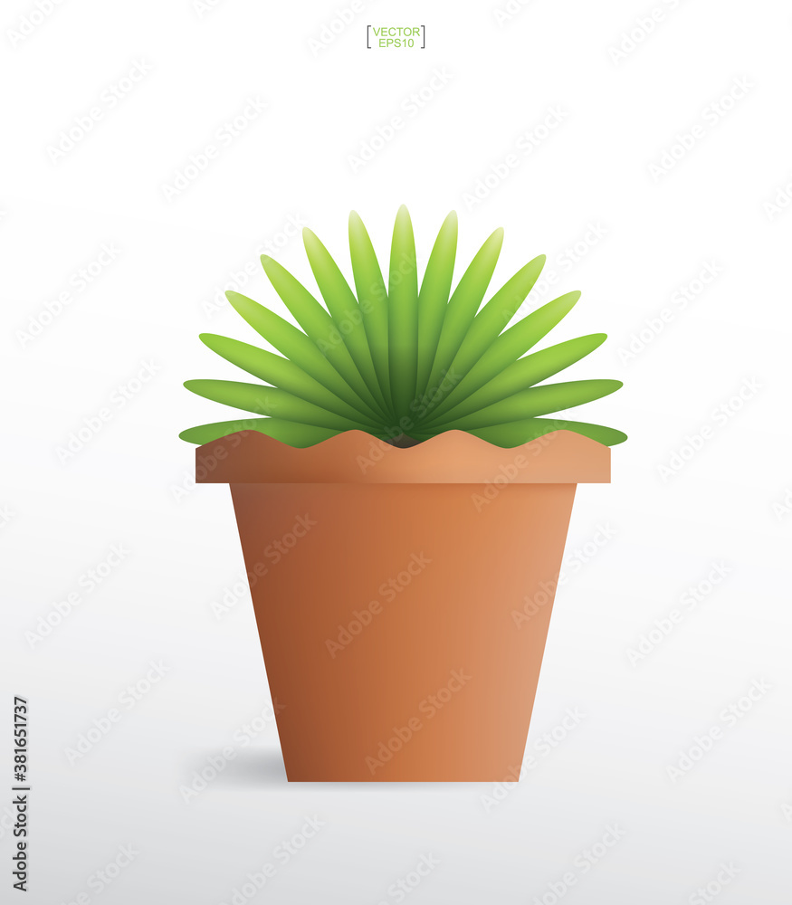 Decoration plants in flower pot. Small tree. Natural object idea for interior design and decoration. Vector. Decoration plants in flower pot. Small tree. Natural object idea for interior design and decoration. Vector.