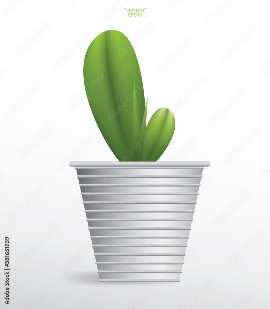 Decoration plants in flower pot. Small tree. Natural object idea for interior design and decoration. Vector. Decoration plants in flower pot. Small tree. Natural object idea for interior design and decoration. Vector.