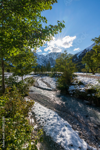 Markanter Baum am großen Ahornboden im Karwendelgebirge Tirol Österreich mit ersten Schnee im September