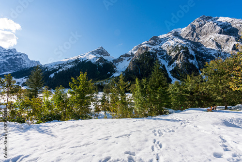 Markanter Baum am großen Ahornboden im Karwendelgebirge Tirol Österreich mit ersten Schnee im September