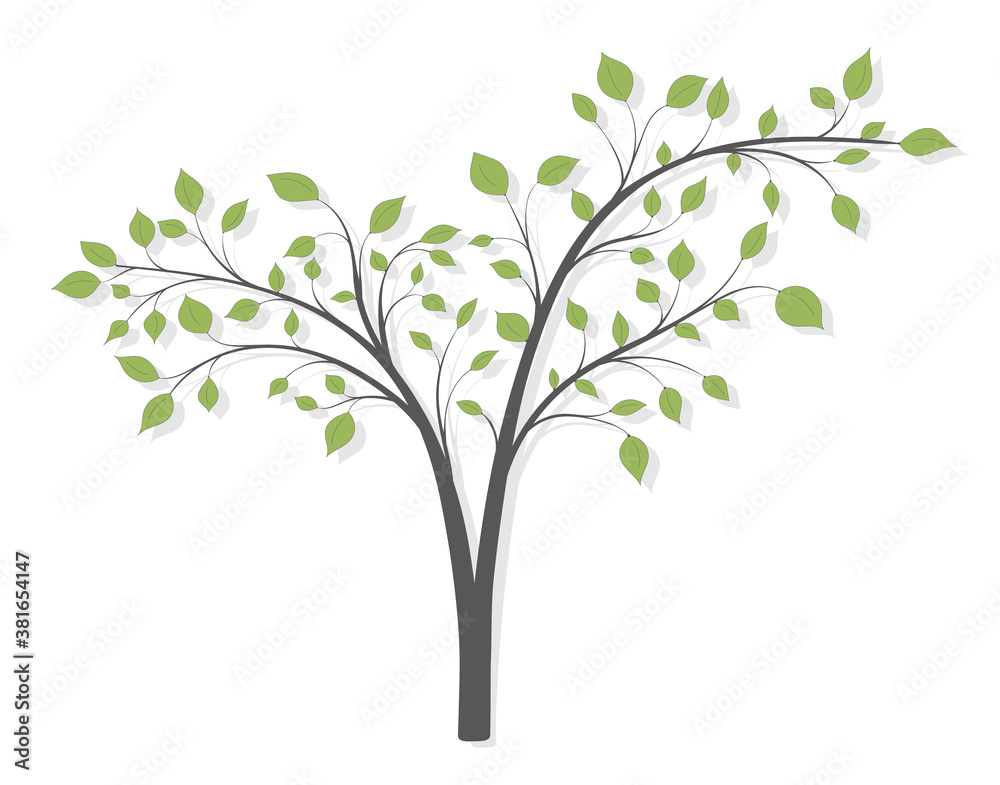 A tree with long branches and green leaves on a white background A tree with long branches and green leaves on a white background
