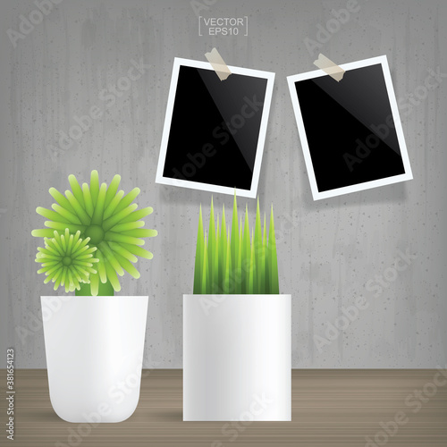 Decoration plant and blank photo frame in vintage interior space background. Vector.