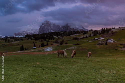 Seiser Alm, Dolomiten © Sandwurm79