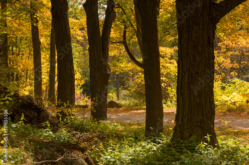 Autumn and fall landscapes from South Eastern Ontario Canada featuring forested hills and lakes with an ethereal atmosphere. 