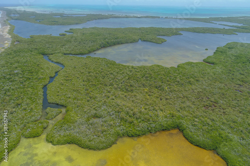 Aerial Landscape mangrove forest with internal lagoon in Caribbean island in Los Roques Venezuela