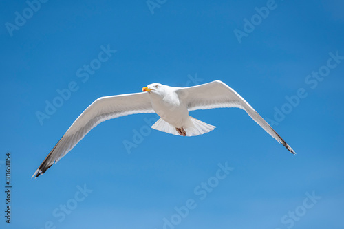 M  we am blauen Himmel im Flug