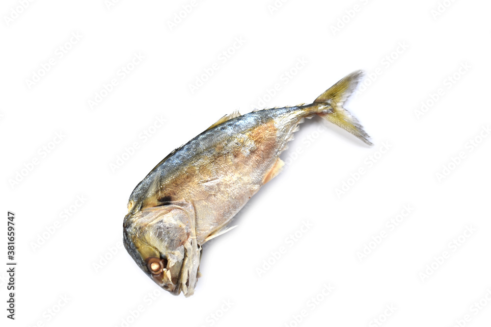 Fototapeta premium fish on a white background