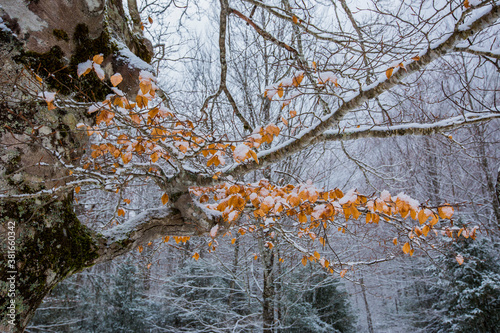 Winter in Ordesa and Monte Perdido National Park, Pyrenees, Spain