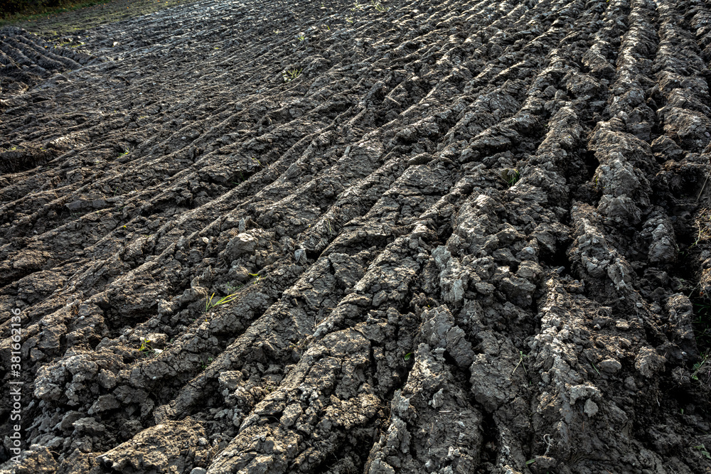 Ploughed field, soil close up. background